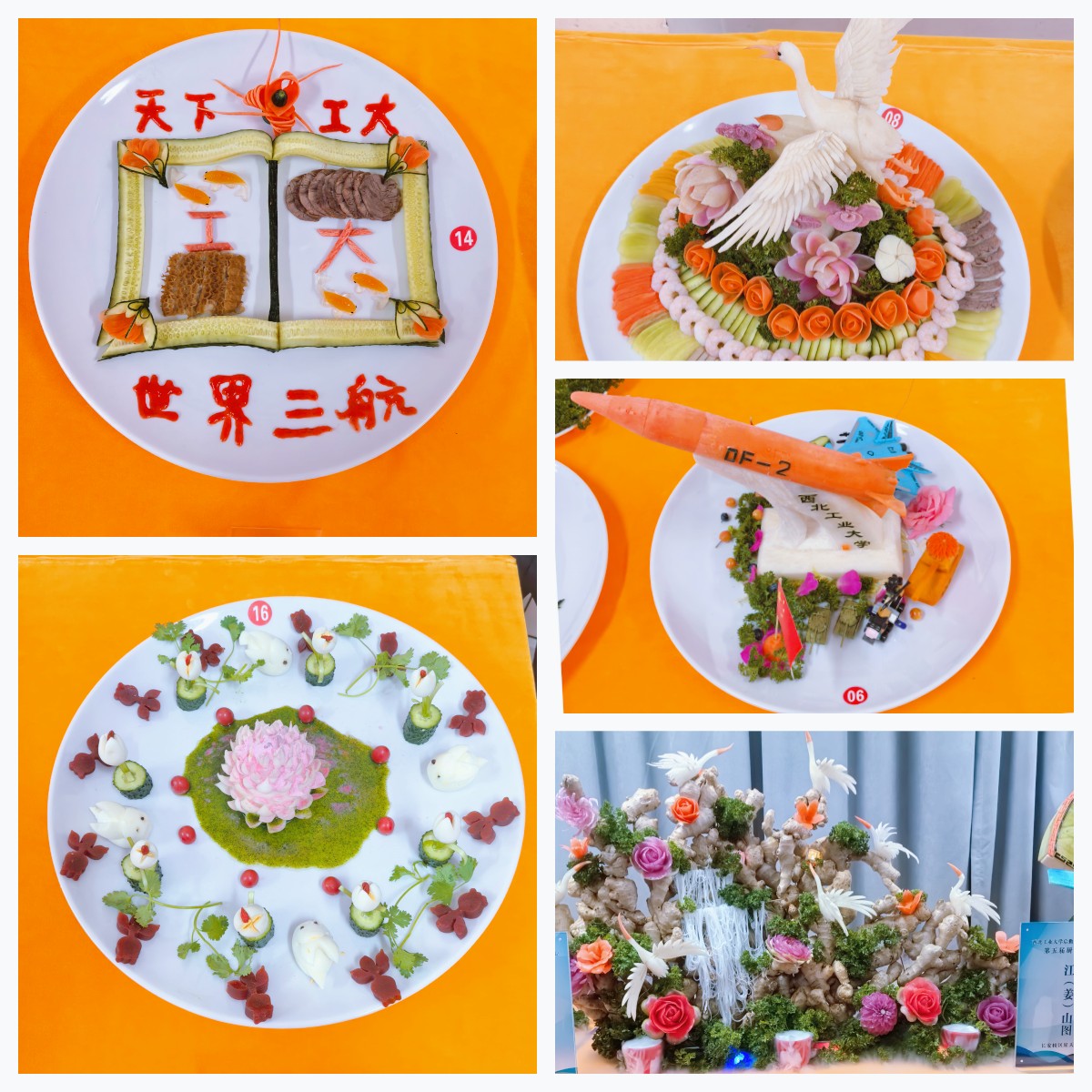 68511015d4081.jpg 未命名.jpg